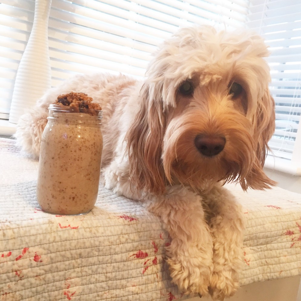 OATMEAL RAISIN MILKSHAKE