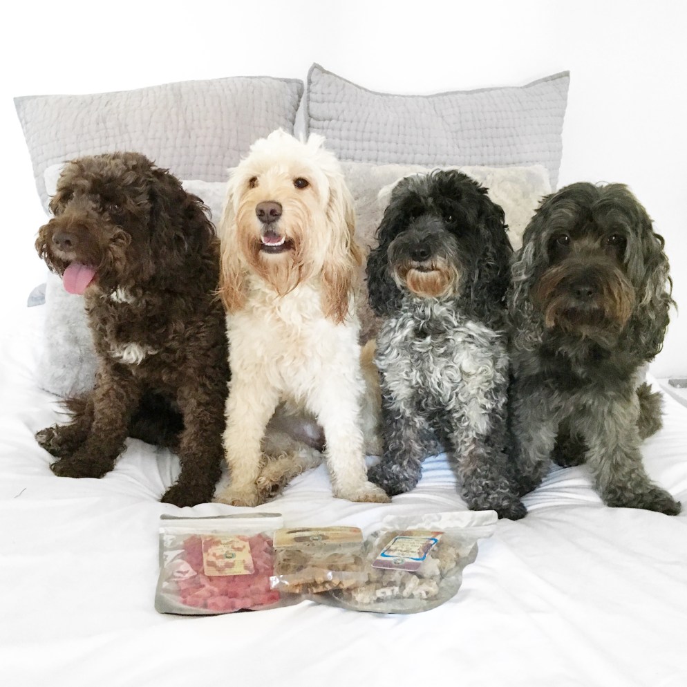 lolas cookie jar treats