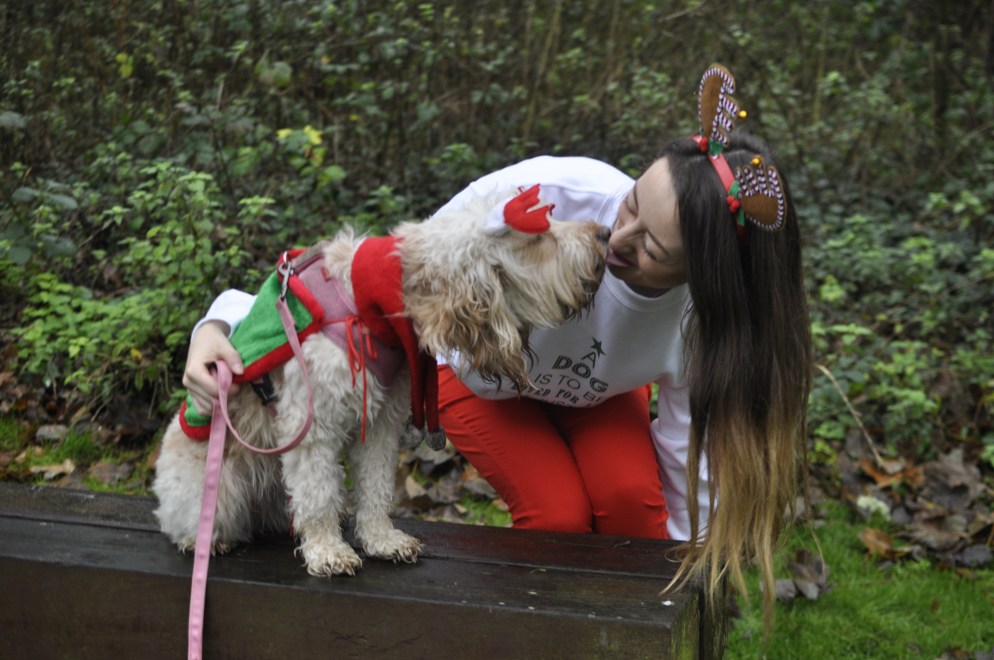 a dog is for life not just for christmas