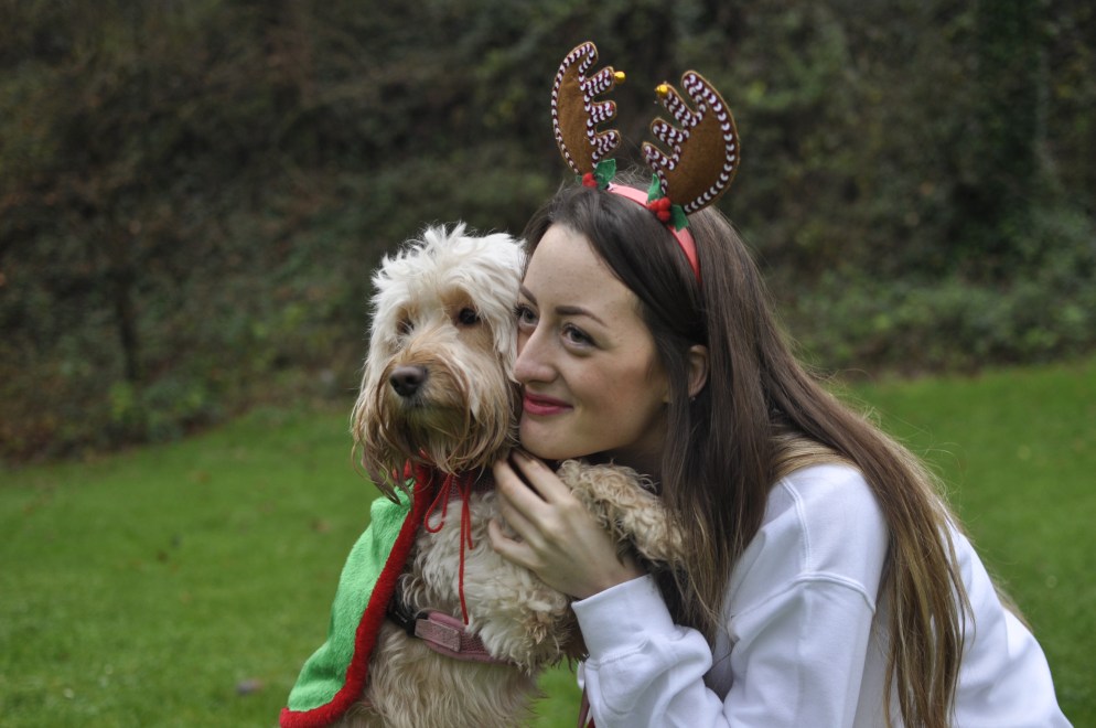 a dog is for life not just for christmas