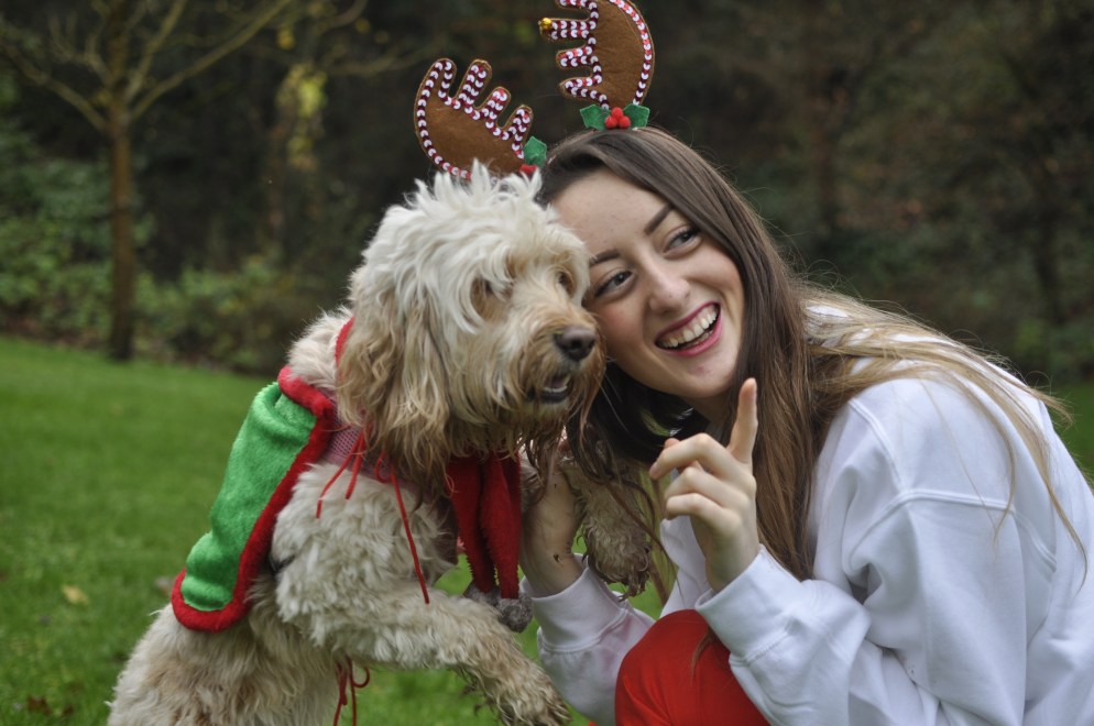 a dog is for life not just for christmas